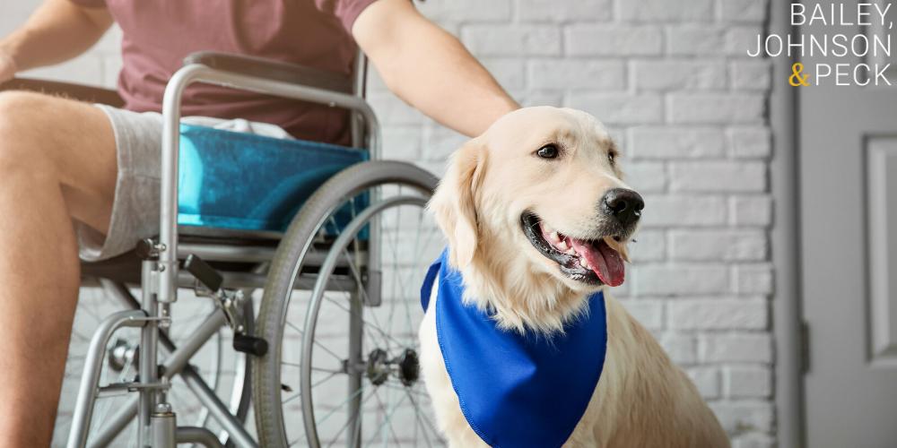 albany paralysis attorneys