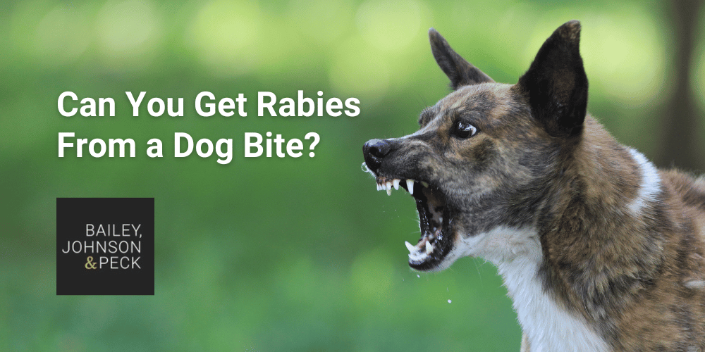 Can You Get Rabies From a Dog Bite